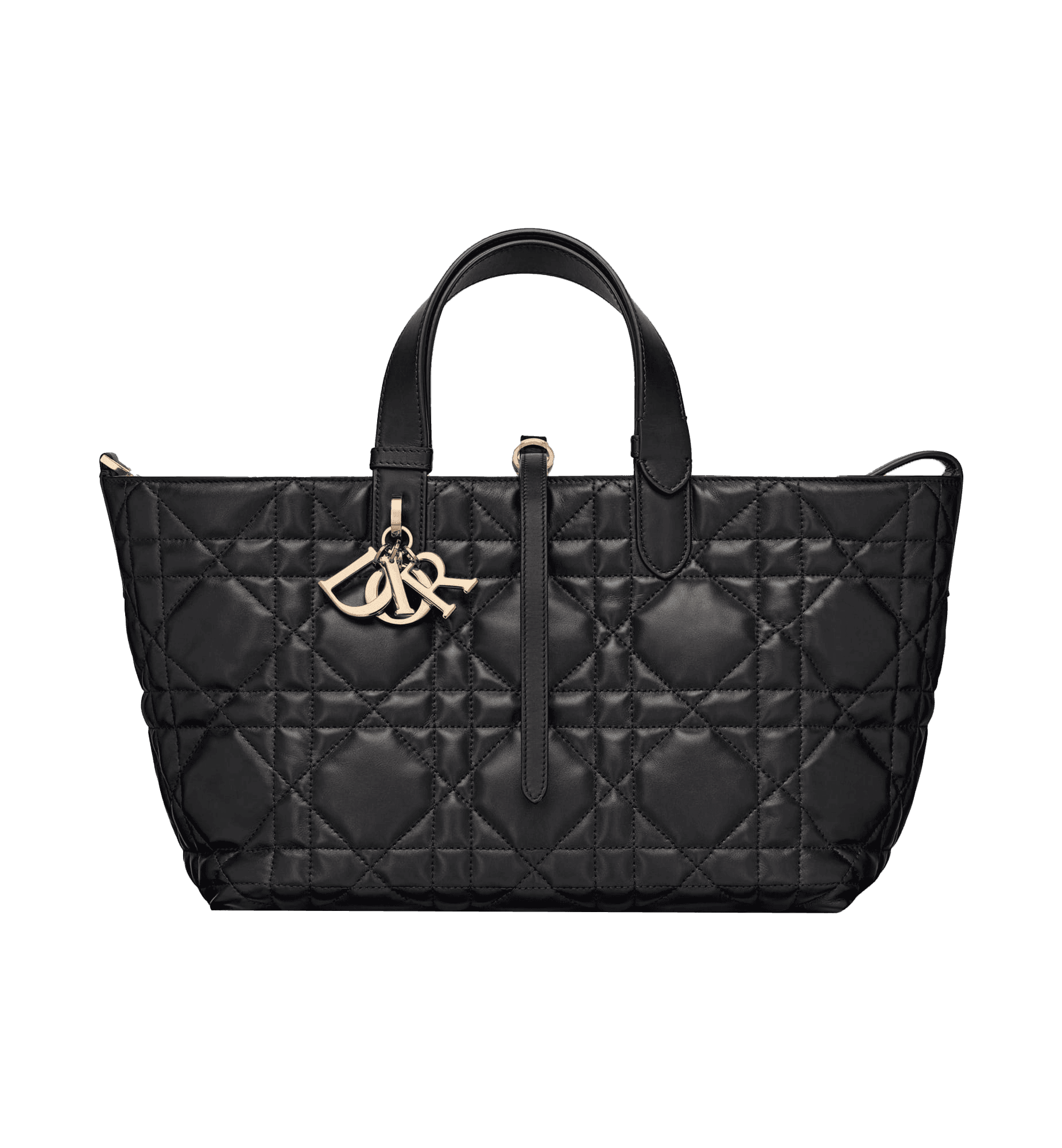 Medium Dior_Toujours Bag Front view