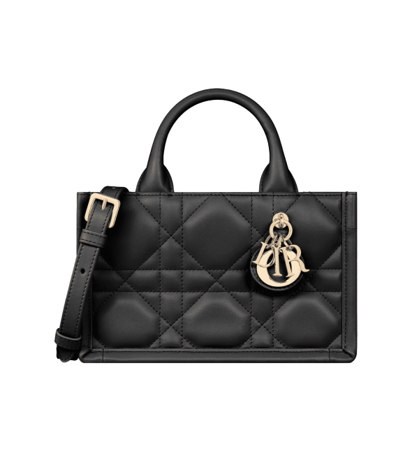 Mini Dior Book Tote