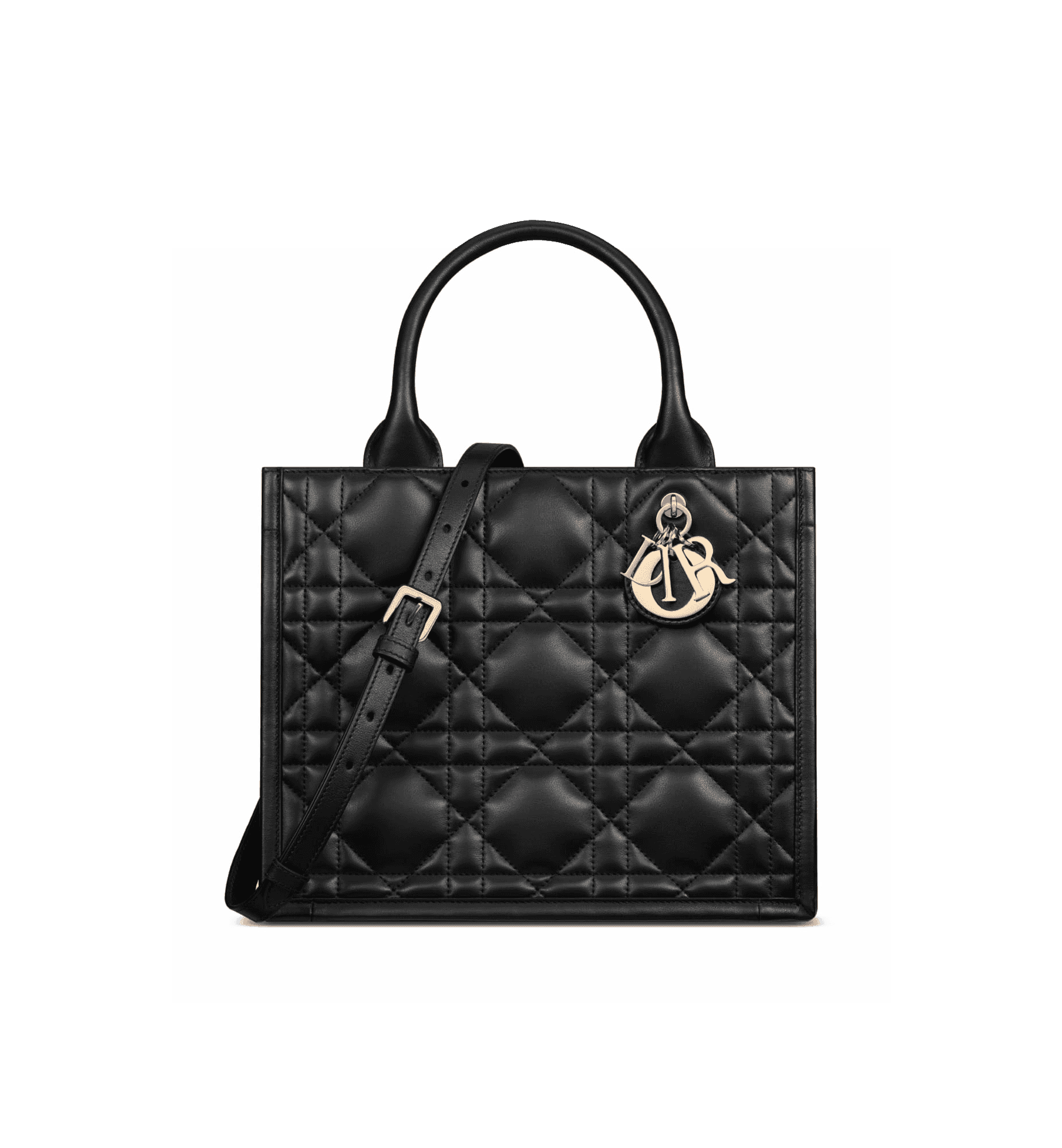 Small Dior Book Tote Front view
