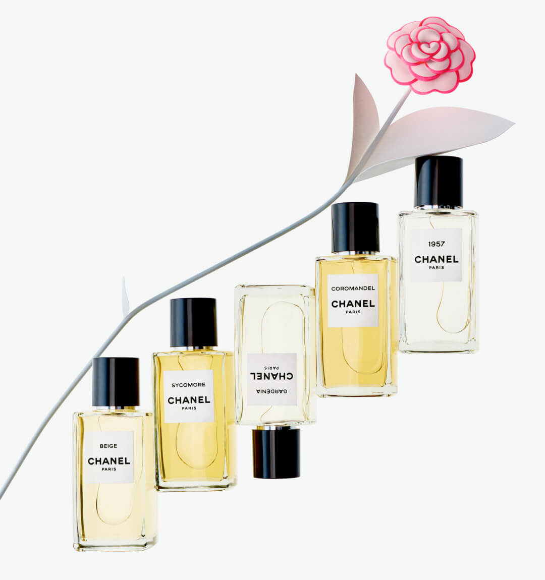 1708447031432-1080x1150lesexclusifsjpg