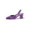 Purple & Dark Purple
