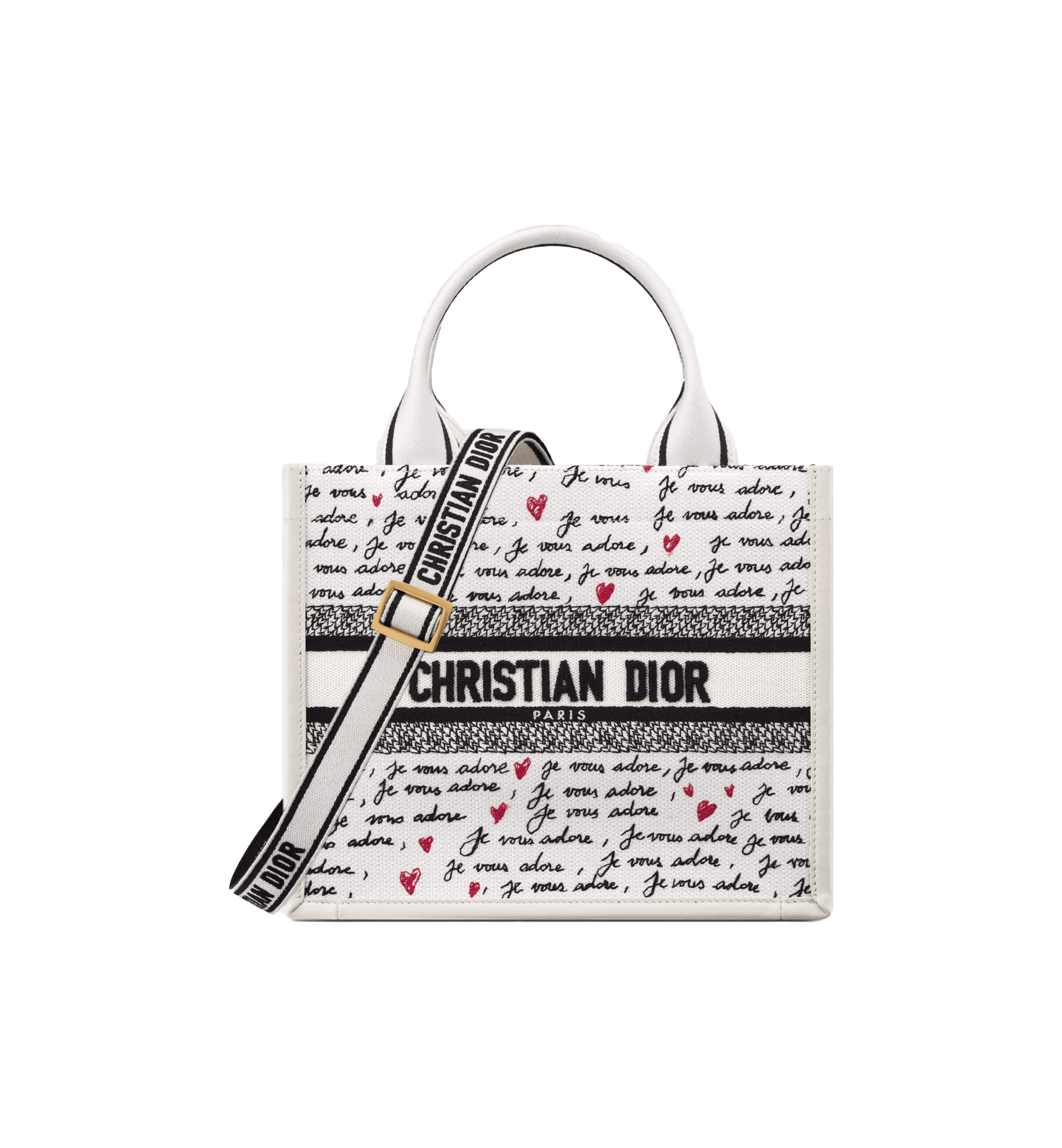 Dioramour Small Dior Book Tote Front view