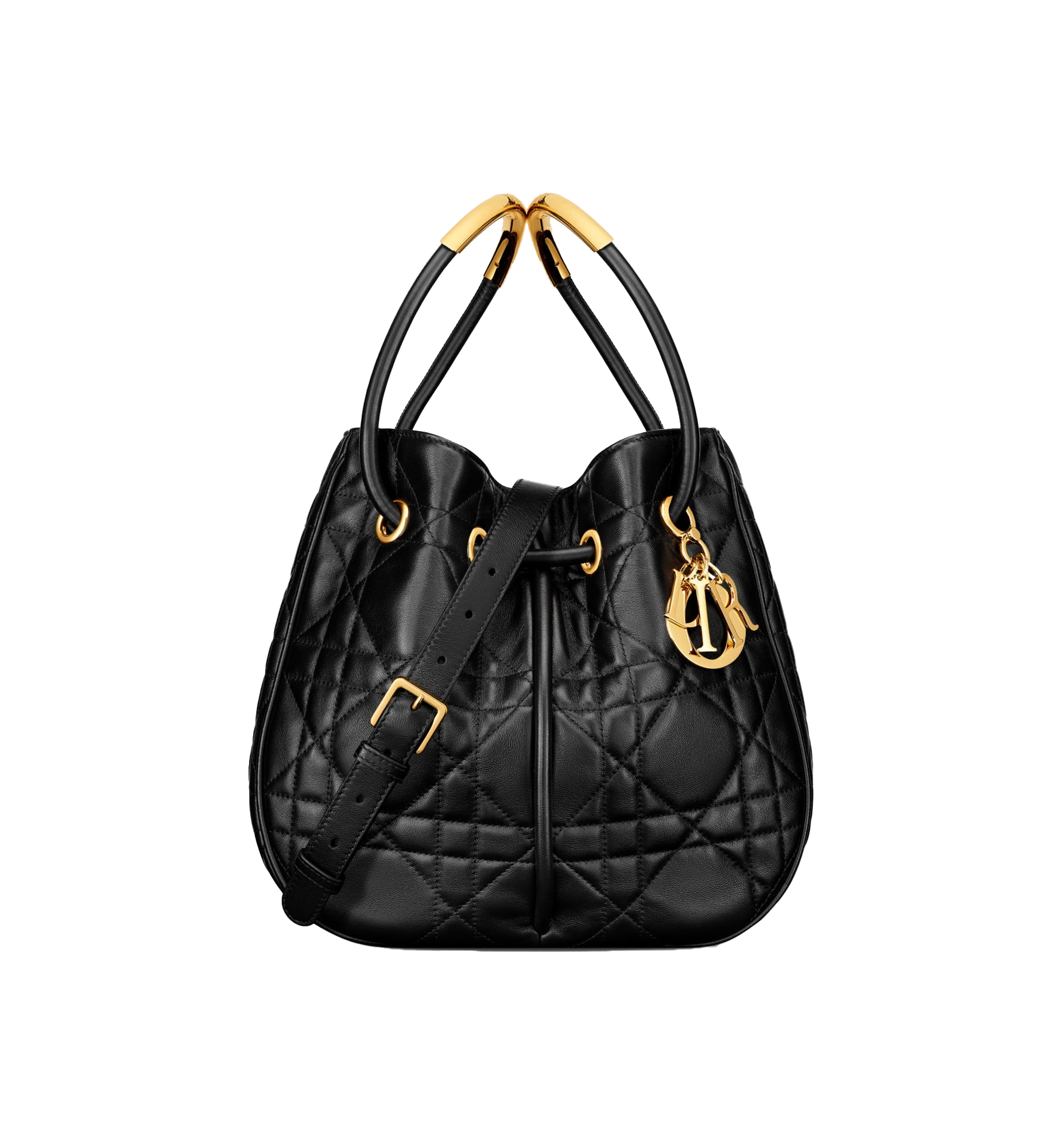 Medium Dior Nolita Bag