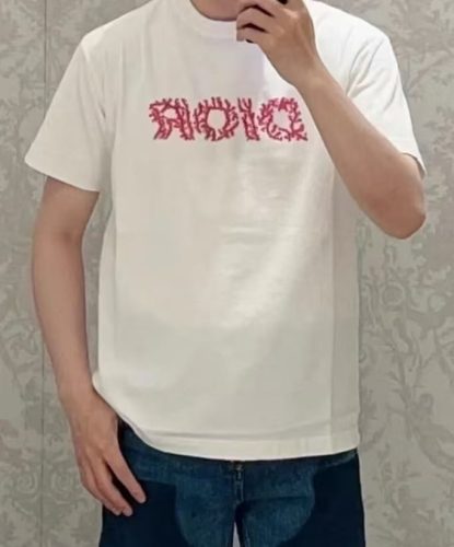 Dior Italic Coral Relaxed-Fit T-Shirt photo review