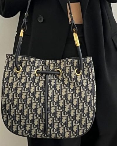 Click to view full screen Medium Dior Nolita Bag photo review
