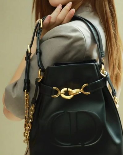 Medium C'est Dior Bag photo review
