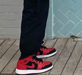 Air Jordan 1 Mid Bred photo review