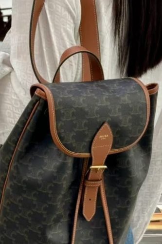 Medium Backpack Folco In Triomphe Canvas And Calfskin photo review